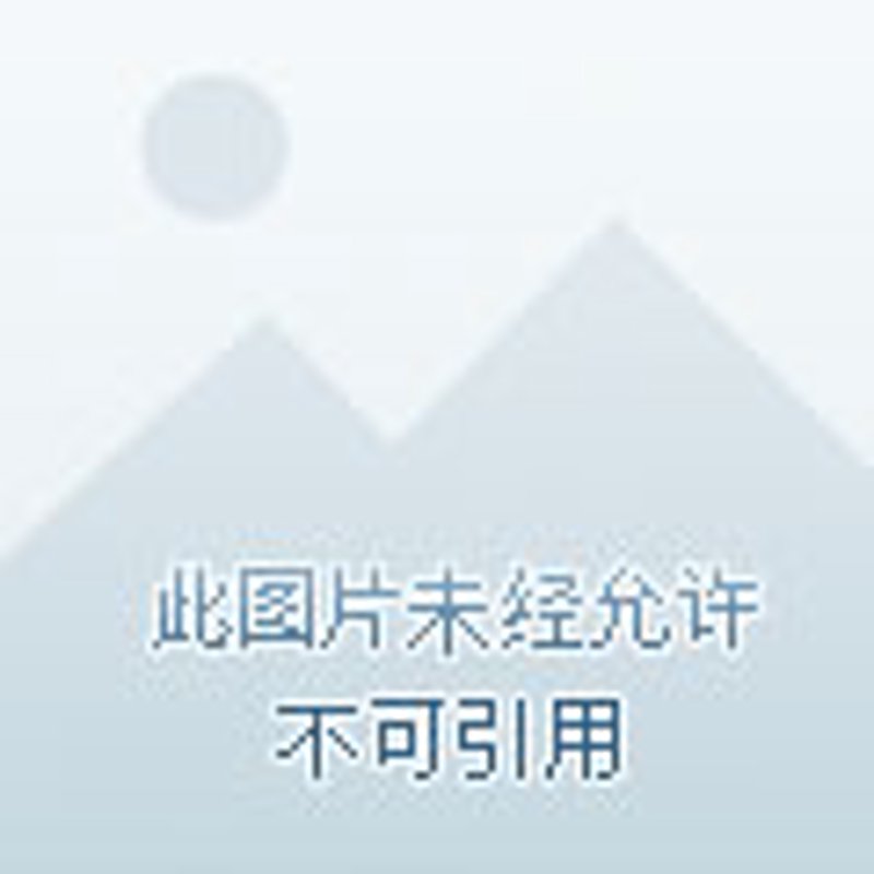 信息服务在当今社会中扮演着至关重要的角色，它不仅能够提供各种数据和信息，还能帮助人们更好地理解和利用这些资源。本文将从五个方面详细介绍信息服务的功能。